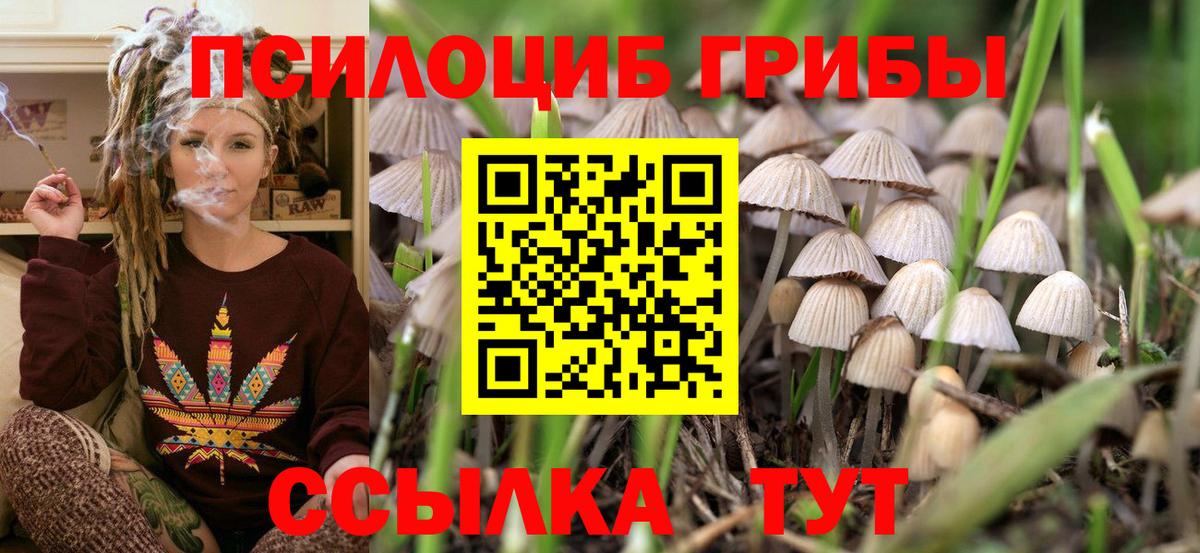Псилоцибиновые грибы прущие грибы Арзамас