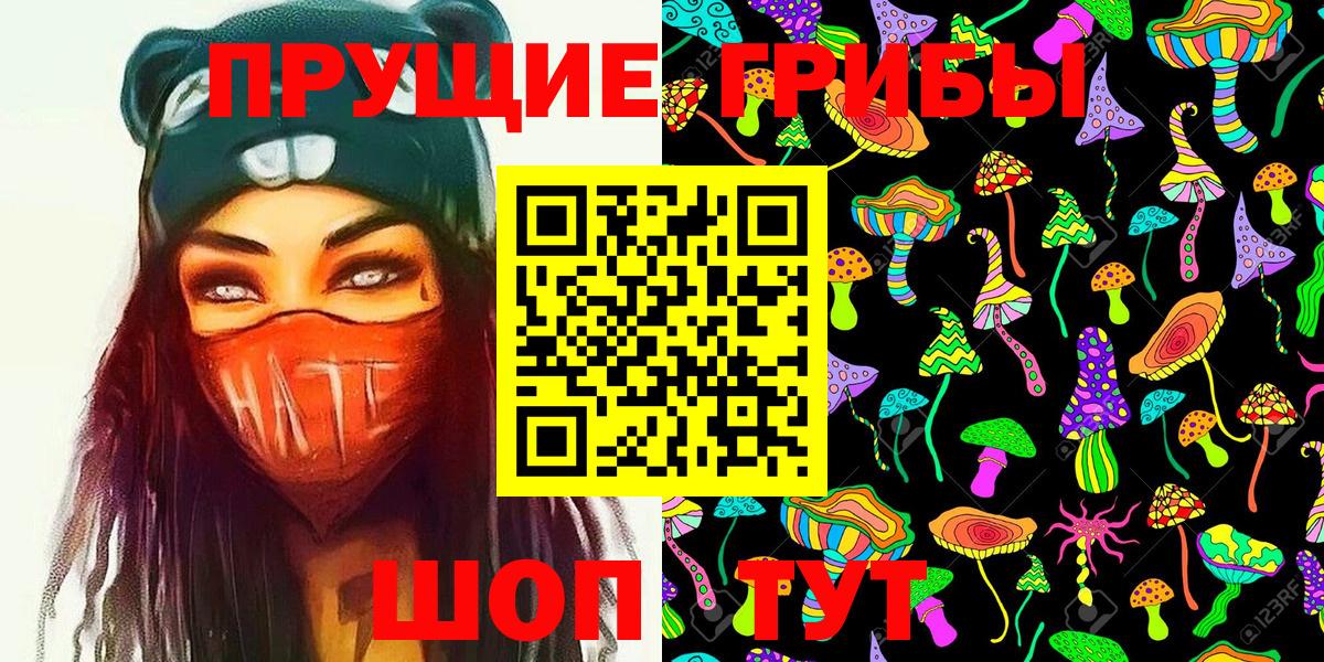 Псилоцибиновые грибы Cubensis  Вход с VPN  Арзамас 